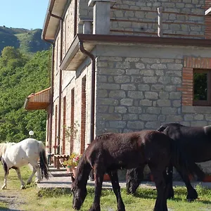 Agriturismo Il Capitano Alloggio per agriturismo